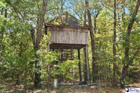 Other - 467 Cane Mill Crossing Rd, Patrick, SC 29584 photo 11 of 20