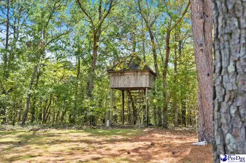 Other - 467 Cane Mill Crossing Rd, Patrick, SC 29584 photo 12 of 20
