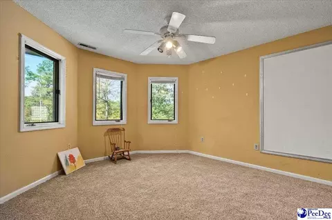 Bedroom - 467 Cane Mill Crossing Rd, Patrick, SC 29584 photo 8 of 8