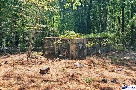 Other - 467 Cane Mill Crossing Rd, Patrick, SC 29584 photo 13 of 20