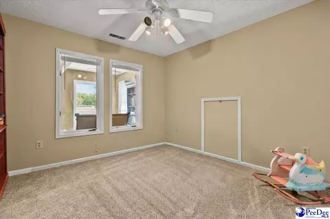 Other - 467 Cane Mill Crossing Rd, Patrick, SC 29584 photo 9 of 20