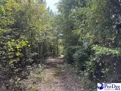 Mcduffie Ln, Cheraw, SC 29520 photo 9