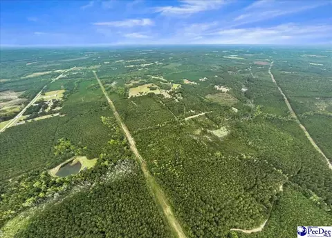 Mcduffie Ln, Cheraw, SC 29520 photo 3