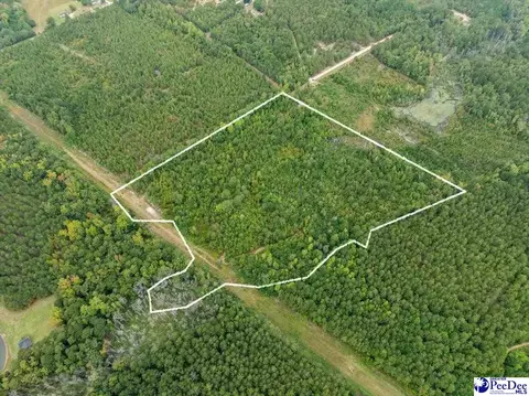 Mcduffie Ln, Cheraw, SC 29520 photo 2