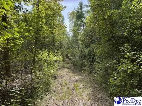 Mcduffie Ln, Cheraw, SC 29520 photo 10