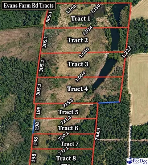 tbd Evans Farm Rd Tract 1, Pamplico, SC 29583