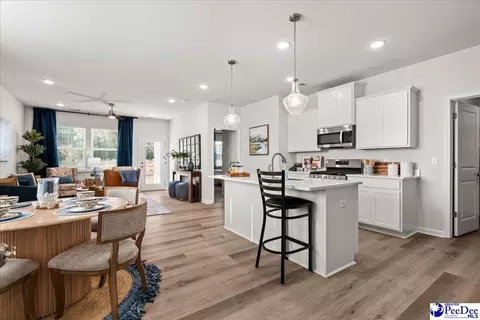 Kitchen - 1111 Summer Duck Loop, Florence, SC 29501 photo 1 of 8