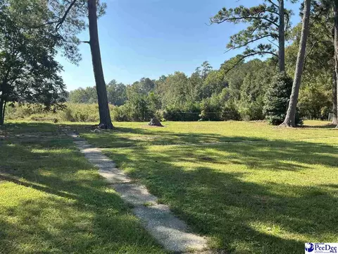 Exterior - 616 E Hampton St, Olanta, SC 29114 photo 9 of 11