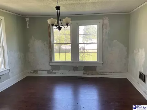 Other - 616 E Hampton St, Olanta, SC 29114 photo 3 of 7