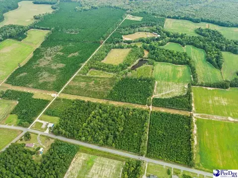 tbd Evans Farm Rd Tract 6, Pamplico, SC 29583 photo 6