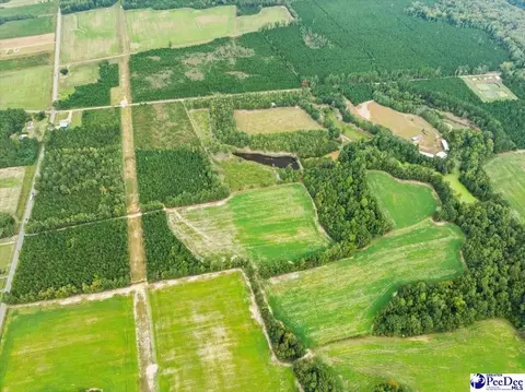 tbd Evans Farm Rd Tract 6, Pamplico, SC 29583 photo 7