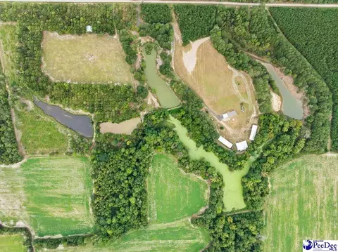 tbd Evans Farm Rd Tract 6, Pamplico, SC 29583 photo 10