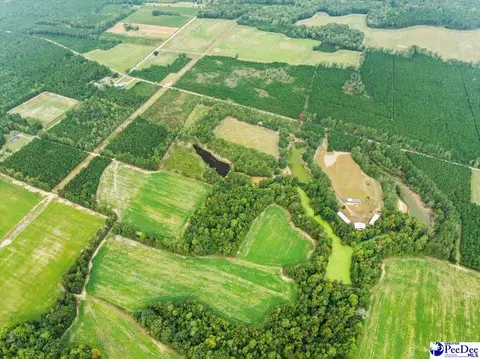 tbd Evans Farm Rd Tract 7, Pamplico, SC 29583 photo 11