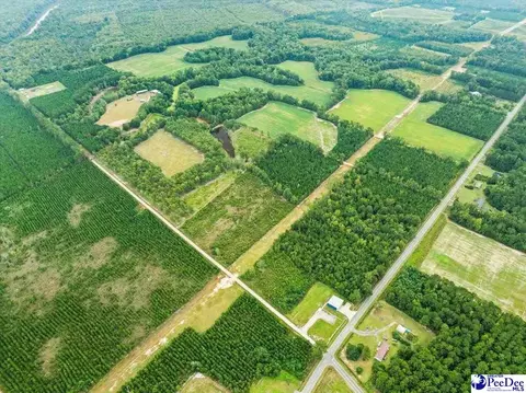 tbd Evans Farm Rd Tract 7, Pamplico, SC 29583 photo 3