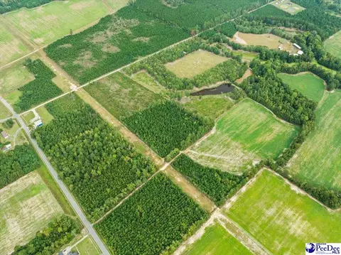tbd Evans Farm Rd Tract 7, Pamplico, SC 29583 photo 8