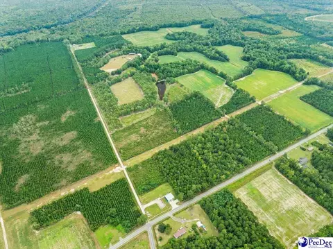 tbd Evans Farm Rd Tract 7, Pamplico, SC 29583 photo 4