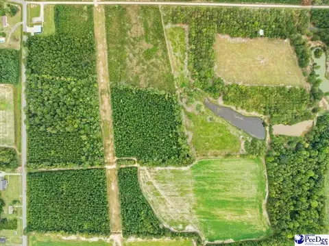 tbd Evans Farm Rd Tract 7, Pamplico, SC 29583 photo 14