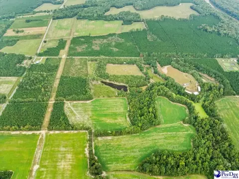 tbd Evans Farm Rd Tract 7, Pamplico, SC 29583 photo 10