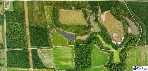 tbd Evans Farm Rd Tract 7, Pamplico, SC 29583 photo 2