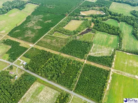 tbd Evans Farm Rd Tract 7, Pamplico, SC 29583 photo 7