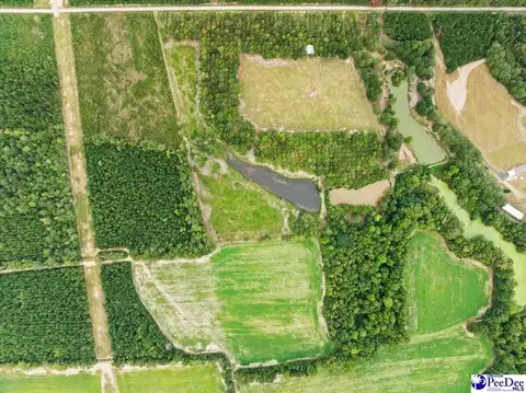 tbd Evans Farm Rd Tract 7, Pamplico, SC 29583 photo 13