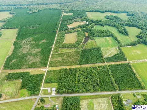 tbd Evans Farm Rd Tract 7, Pamplico, SC 29583 photo 5