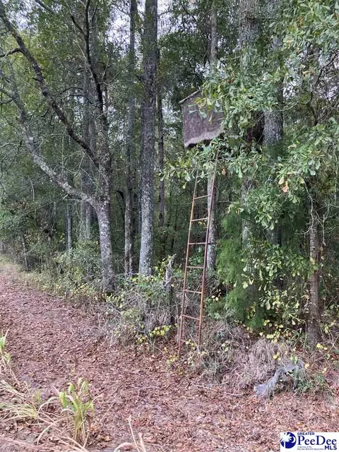 tbd Ruth Ct, Mullins, SC 29574 photo 6