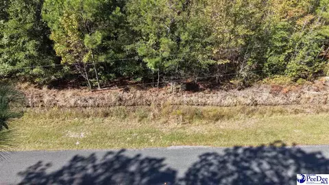 7 Trifalia Rd, Scranton, SC 29591 photo 9