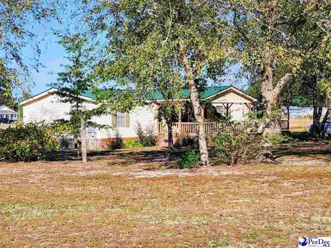 3110 Bluff Rd, Marion, SC 29571 photo 26