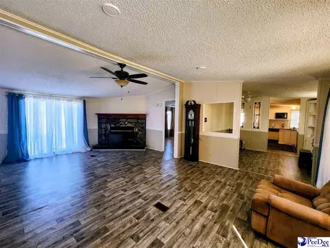 3110 Bluff Rd, Marion, SC 29571 photo 8