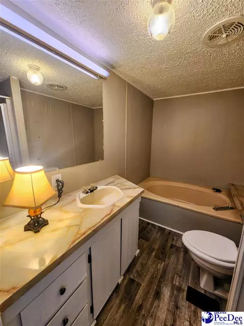 3110 Bluff Rd, Marion, SC 29571 photo 3