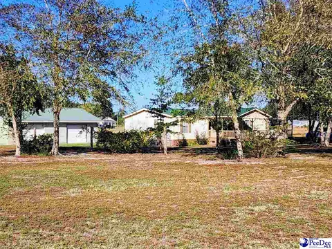 3110 Bluff Rd, Marion, SC 29571 photo 25