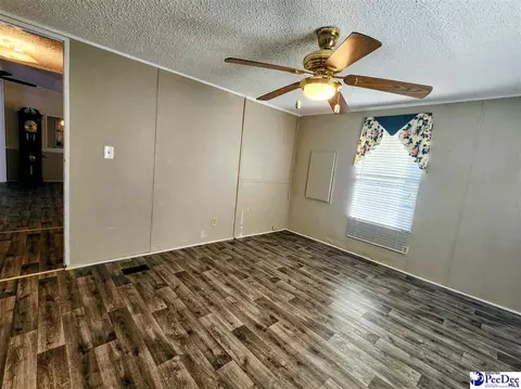 3110 Bluff Rd, Marion, SC 29571 photo 13