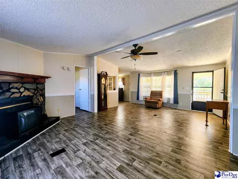 3110 Bluff Rd, Marion, SC 29571 photo 9