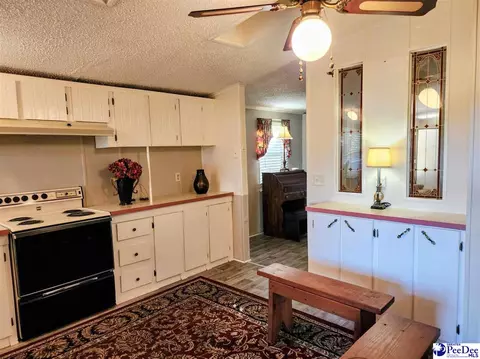 3110 Bluff Rd, Marion, SC 29571 photo 17
