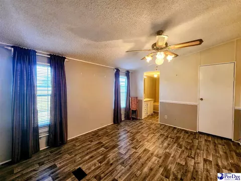 3110 Bluff Rd, Marion, SC 29571 photo 5