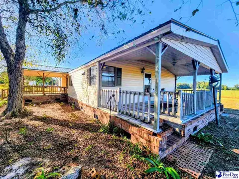 3110 Bluff Rd, Marion, SC 29571 photo 2