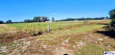 3110 Bluff Rd, Marion, SC 29571 photo 21
