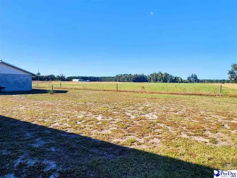 3110 Bluff Rd, Marion, SC 29571 photo 28