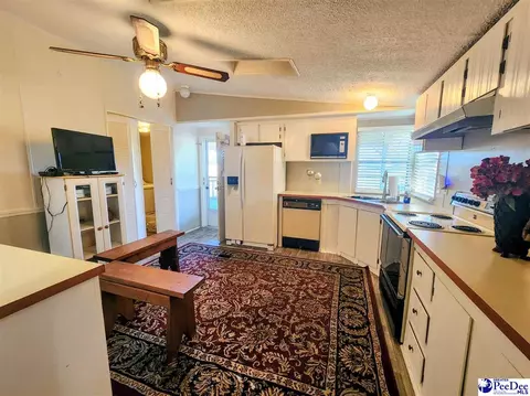 3110 Bluff Rd, Marion, SC 29571 photo 18
