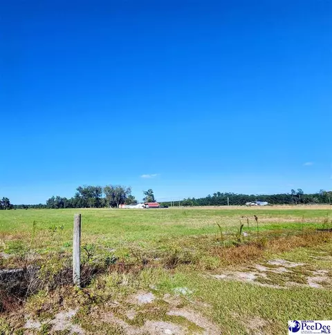 3110 Bluff Rd, Marion, SC 29571 photo 20