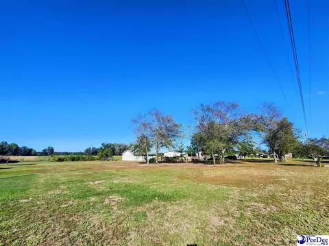 3110 Bluff Rd, Marion, SC 29571 photo 24