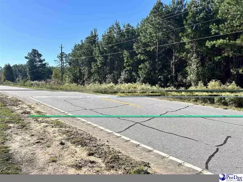 tbd Lot 1 New Market Rd, Hartsville, SC 29550