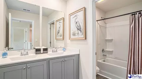 Bath - 3320 Tulip Tree Ln, Florence, SC 29505 photo 2 of 4