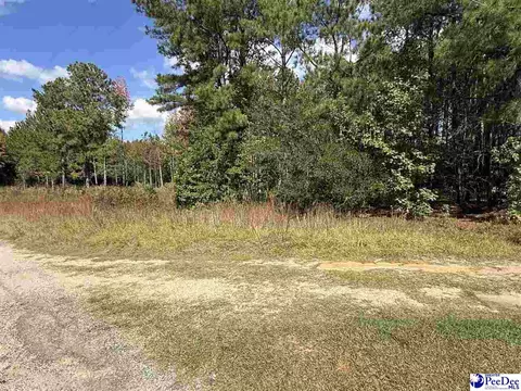 tbd Sherrill Rd, Wallace, SC 29596 photo 11