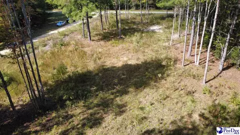 tbd Sherrill Rd, Wallace, SC 29596 photo 8