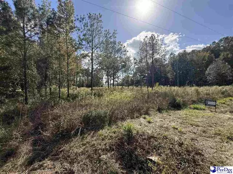 tbd Sherrill Rd, Wallace, SC 29596 photo 14