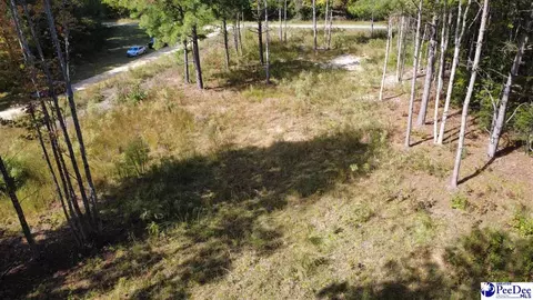 tbd Sherrill Rd, Wallace, SC 29596 photo 7