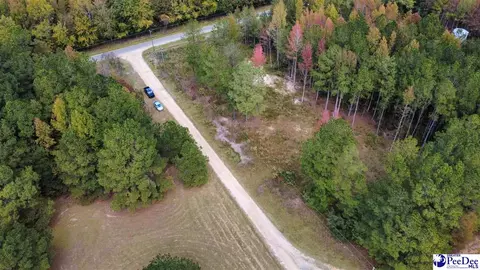 tbd Sherrill Rd, Wallace, SC 29596 photo 6