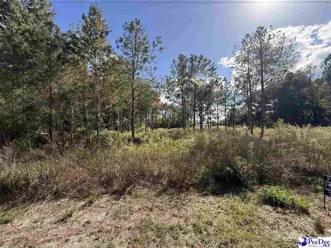 tbd Sherrill Rd, Wallace, SC 29596 photo 13